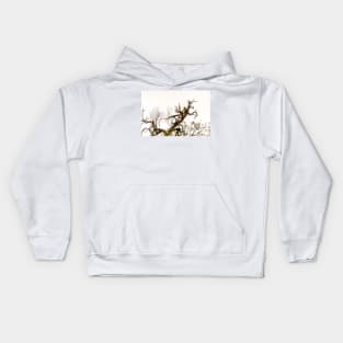 Cactus Growing In a Tree Kids Hoodie